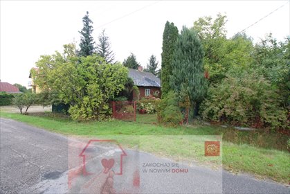 dom na sprzedaż 63m2 dom Wola Mieczysławska