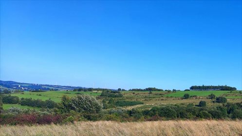 Działka budowlana na sprzedaż Makowiska, Makowiska 6 800m2 Foto 3