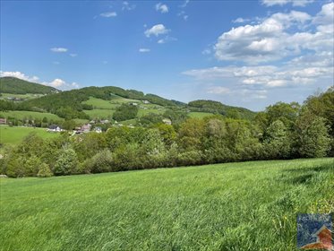 Do sprzedania działka 3014 m² z dostępem do asfaltu w Laskowej działka Laskowa