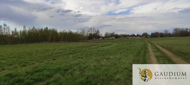 działka na sprzedaż 1300m2 działka Drewnica