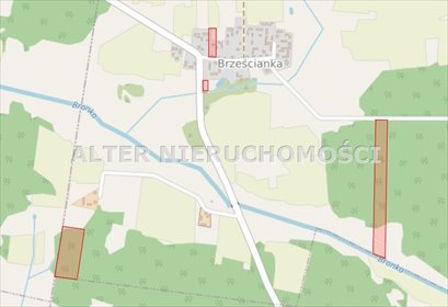 działka na sprzedaż 53998m2 działka Brześcianka