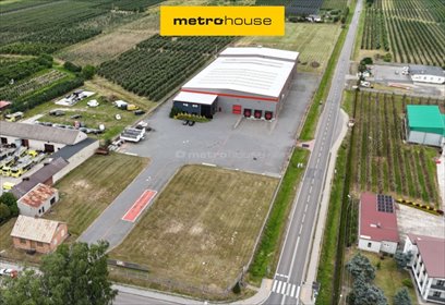 Nowoczesny kompleks przemysłowo-magazynowy 7 279 m² (Konary) magazyn Konary