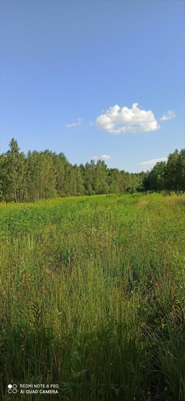 działka na sprzedaż 15132m2 działka Otwock, Wólka Mlądzka, Rakowa