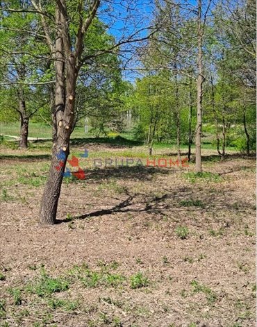 Działka 1123 m² z mediami, cicha okolica, blisko Warszawy działka Konstancin-Jeziorna