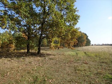 Działka budowlana na sprzedaż Karolina 4 000m2 Foto 1
