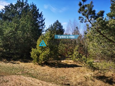 działka na sprzedaż 1098m2 działka Nowa Kiszewa