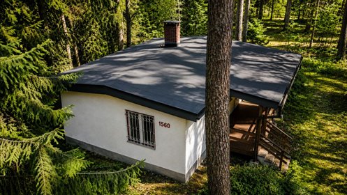 Działka 2560 m² w Wilgę - las, infrastruktura, prywatność działka Wilga