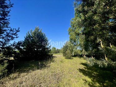działka na sprzedaż 2200m2 działka Dąbrówki