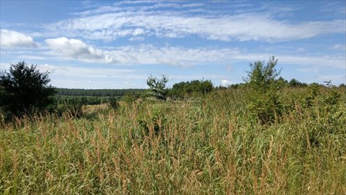 Działka budowlana na sprzedaż Międzyrzecze 4 900m2 Foto 7