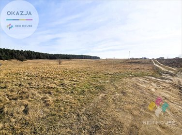Działka budowlana na sprzedaż Wójtowo 1 504m2 Foto 7