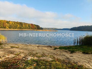 Działka 3,9 ha z lasem, mediami i atrakcyjną lokalizacją działka Gąsiorowo Olsztyneckie