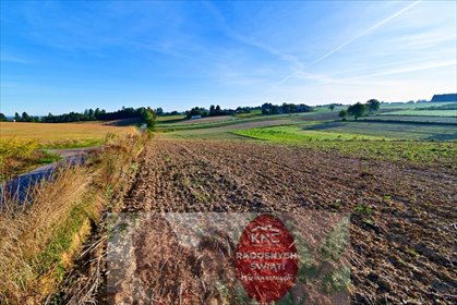 działka na sprzedaż 5300m2 działka Maszki