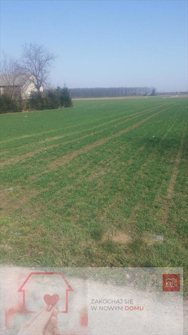 działka na sprzedaż 9049m2 działka Jakubowice Konińskie