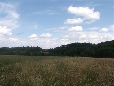 Działka rolna pod dzierżawę Płóczki Górne 800 000m2 Foto 2