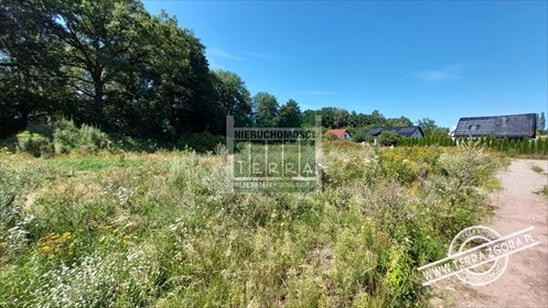 Do sprzedania działka 2034 m² pod dom jednorodzinny w spokojnej okolicy działka Droszków