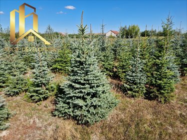 działka na sprzedaż 39293m2 działka Miedzechów