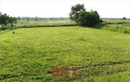 działka na sprzedaż 947m2 działka Raszyn, Kolonia Opacz