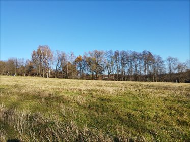 działka na sprzedaż 1527m2 działka Kobylec