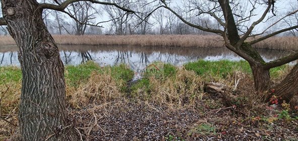 działka na sprzedaż 2903m2 działka Cieciszew