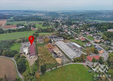 lokal użytkowy na sprzedaż 2300m2 lokal użytkowy Godów, 1 Maja