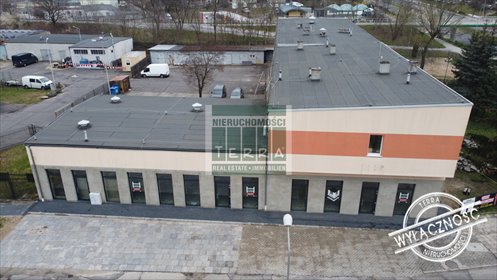 lokal użytkowy na wynajem 259m2 lokal użytkowy Zielona Góra
