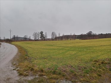 działka na sprzedaż 120510m2 działka Mysłakowice