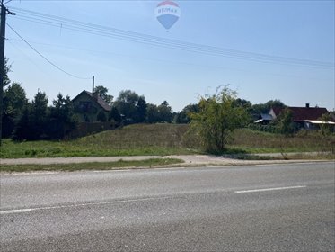 działka na sprzedaż 16400m2 działka Wólka Paplińska