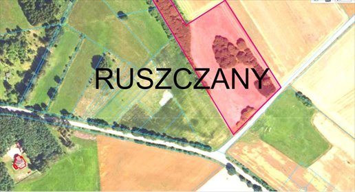 działka na sprzedaż 22100m2 działka Ruszczany