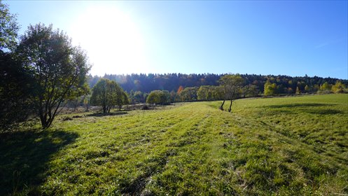 działka na sprzedaż 11300m2 działka Klimkówka