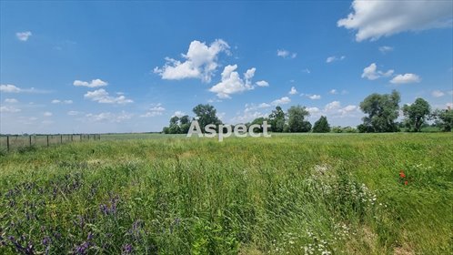 działka na sprzedaż 620m2 działka Stróżewko