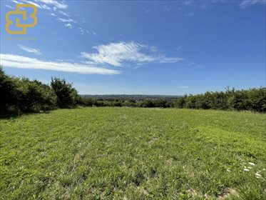 działka na sprzedaż 5331m2 działka Kraków, Dębniki, Spacerowa