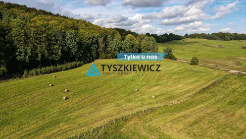 Działka przy lesie i narciarskim o powierzchni 1387 m2 działka Trzepowo, Mestwina