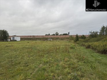 działka na sprzedaż 1000m2 działka Cisie, Środkowa