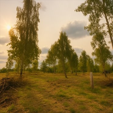 działka na sprzedaż 1689m2 działka Nasielsk, Nasielsk, Topolowa