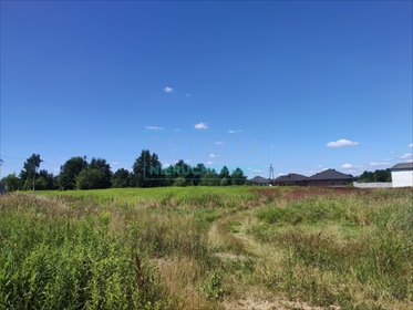 działka na sprzedaż 4678m2 działka Wolica