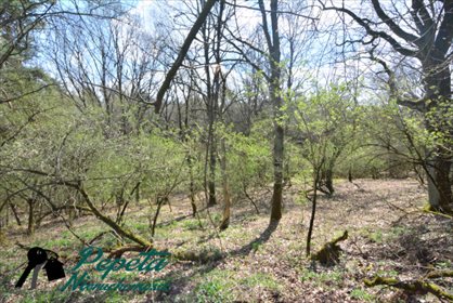 Działka rolna na sprzedaż Uzarzewo, Katarzynki 16 100m2 Foto 5