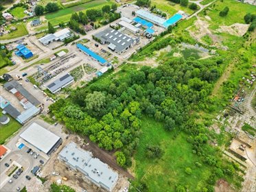 Działka 25 017 m² w Kaliska z mediami - zapraszam działka Kaliska