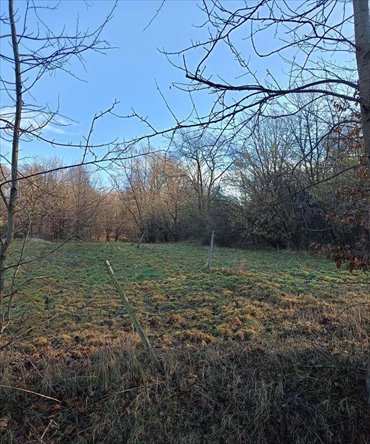 działka na sprzedaż 1623m2 działka Zabratówka