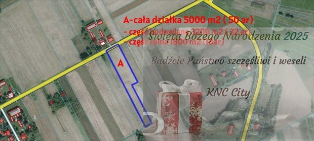 działka na sprzedaż 5000m2 działka Brzostówka