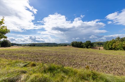 Działka 1166 m² z WZ - blisko natury i komunikacji działka Kielno, Józefa Hallera