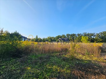 działka na sprzedaż 1010m2 działka Zbrudzewo