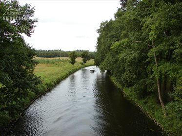 Działka rolna na sprzedaż Lubień, Lubień 46 500m2 Foto 2