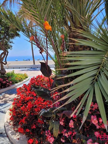 mieszkanie na sprzedaż 61m2 mieszkanie Estepona