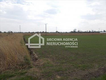 Działka rolna na sprzedaż Gdańsk, Olszynka 3 258m2 Foto 4