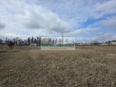 Działka 1987 m² z mediami i WZ na dom w Adamowie działka Adamów
