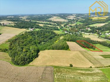 działka na sprzedaż 4400m2 działka Lubcza