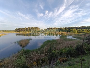 Urokliwy dom z ogrodem i stawem - polecam! dom Wyszonki-Klukówek