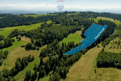 działka na sprzedaż 20436m2 działka Sieniawa