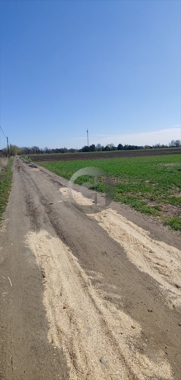 Polecam działki 15 arów z mediami w spokojnej okolicy działka Gorzów Wielkopolski, Zakanale