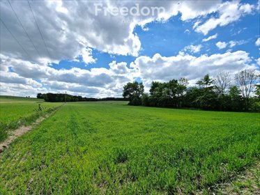 działka na sprzedaż 4849m2 działka Borsuki